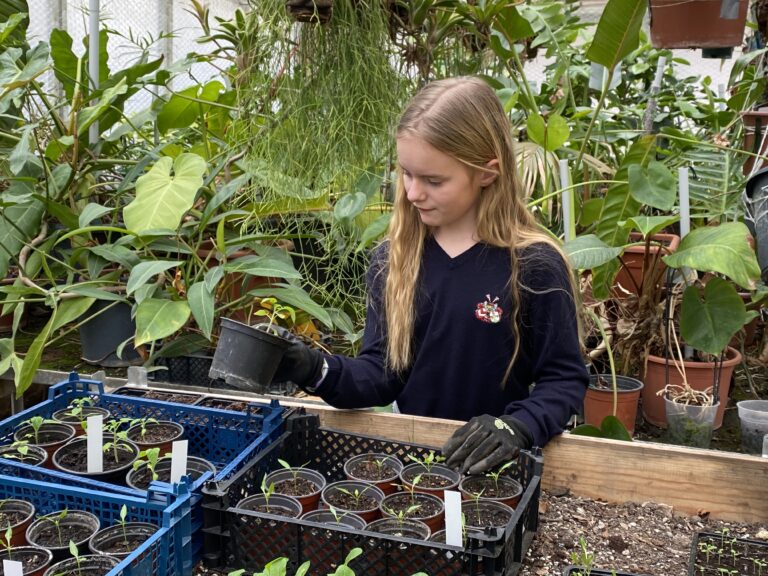 Rückblick auf das Jahr 2025